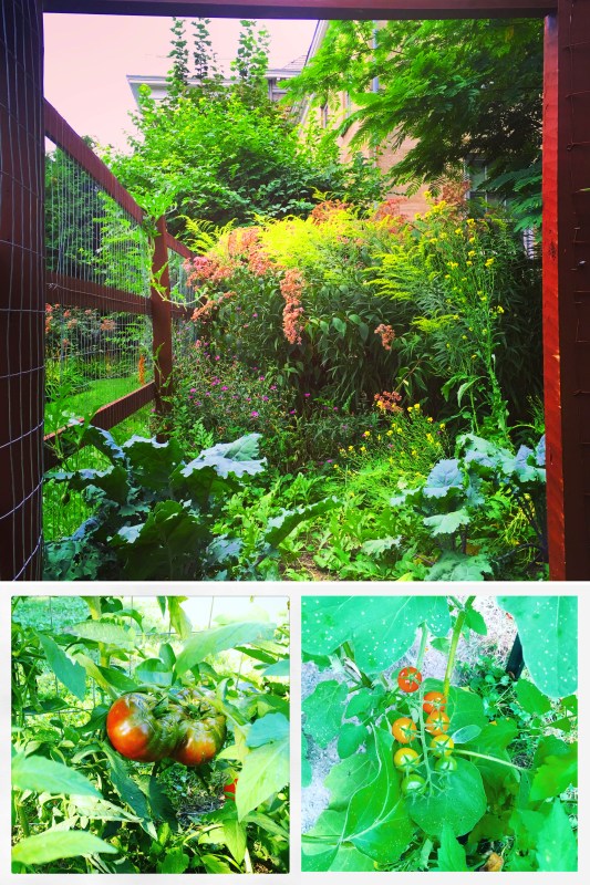 Garden Collage copy