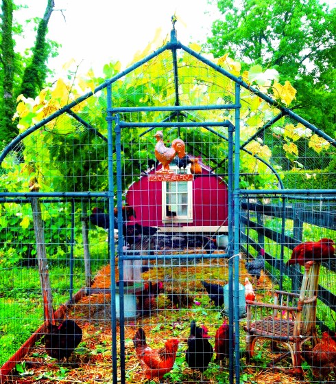 La Cage Aux Fowl Insta